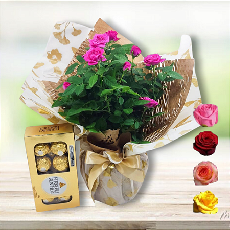 Arranjo Mini Rosas Plantadas com Ferrero  cod 406