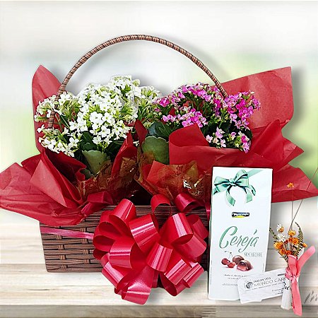 Jardineira palha com 2 Kalanhoes e Trufas cod 5004