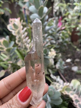 Cristal Transparente Gêmeo