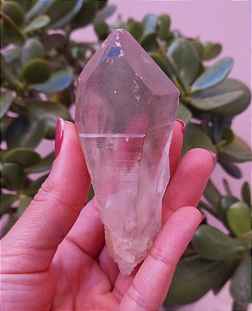 Ponta de Cristal  Lemuriano Fumê Claro