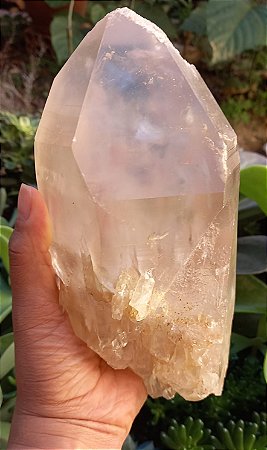 Cristal Transparente- Cristal Mestre