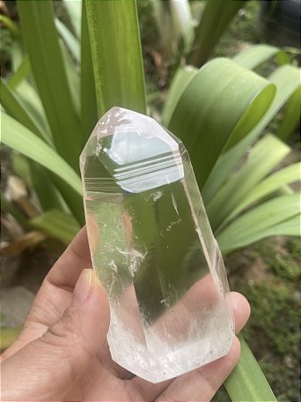 Cristal Lemuriano Cristal Mestre