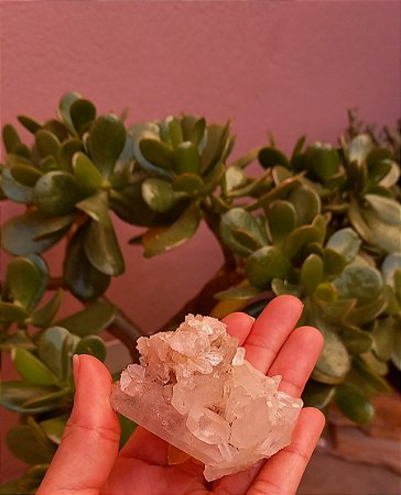 Drusa de Cristal Transparente - Kit 3 Peças