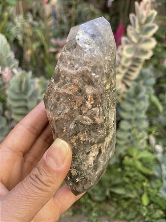 Cristal Xamã Lodolita