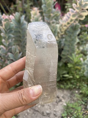Cristal Quartzo Fumê Natural