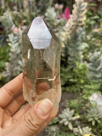 Cristal Mestre Citrino Natural