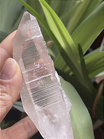 Cristal Lemuriano