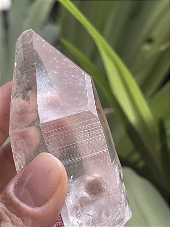 Cristal Mestre Lemuriano