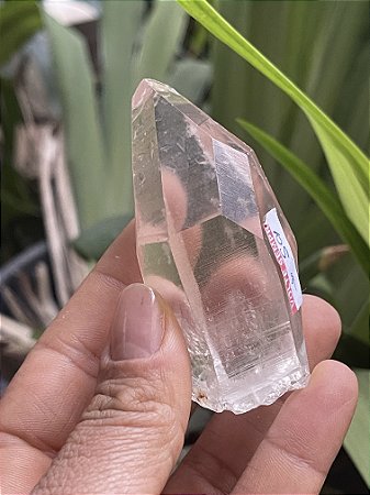 Cristal Lemuriano com Elo do Tempo