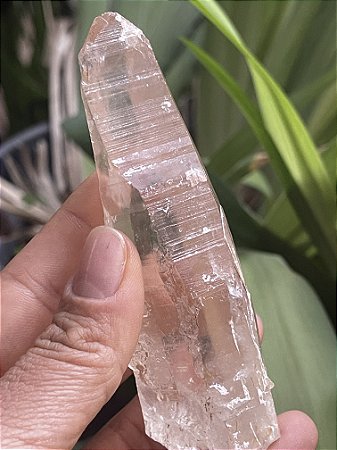 Ponta Cristal Lemuriano