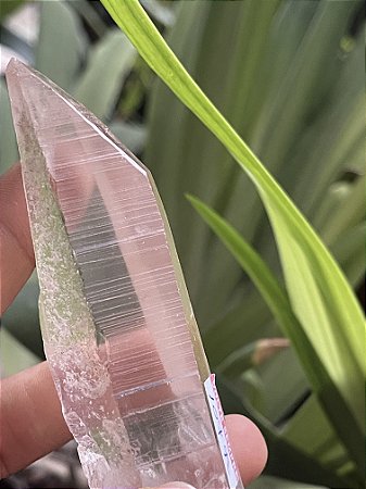 Cristal Mestre  Lemuriano