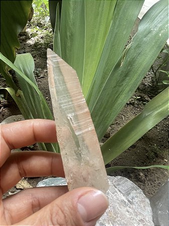 Ponta Cristal Lemuriano