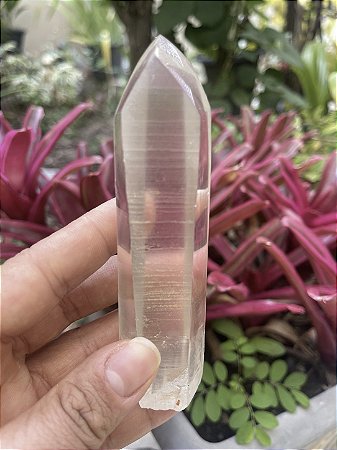 Ponta Cristal Lemuriano