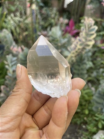 Cristal Transparente Lemuriano