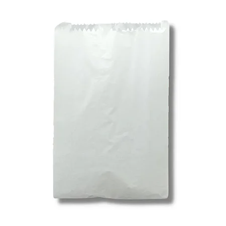 SACO PAPEL ECO VIAGEM 1 C/ 500UN -MTEL