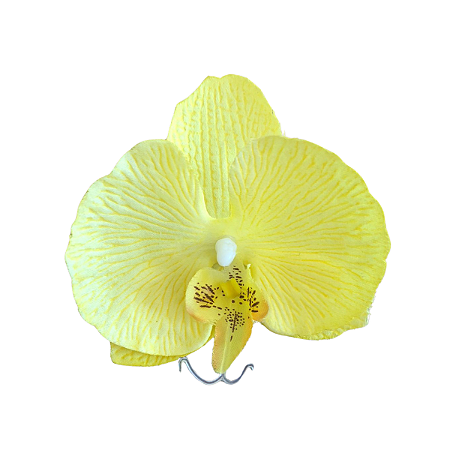 Porta Guardanapo Orquídea Amarela
