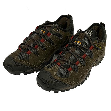 tenis bull terrier syncron