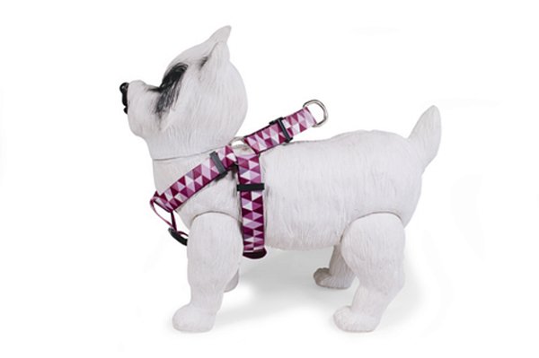 Peitoral Americano para Cachorros Lumix Rosa