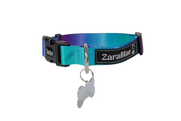 Coleira para Cachorro Kingstone