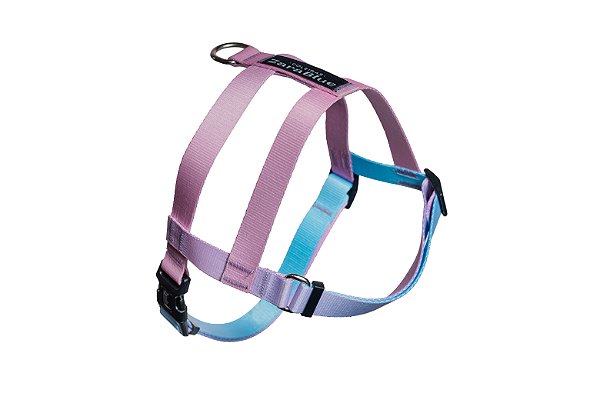 Peitoral Easy para Cachorro Cloe ZaraBlue