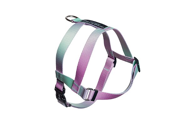 Peitoral Easy para Cachorro Algrem ZaraBlue