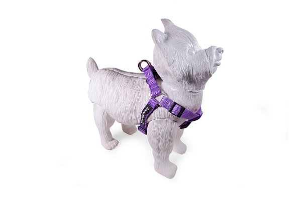 Peitoral Americano para Cachorros Lilás ZaraBlue