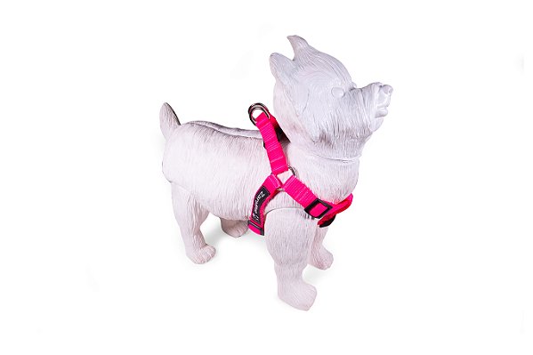Peitoral Americano para Cachorros Pink ZaraBlue
