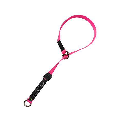 Colar de Adestramento para Cachorro Pink com Argola Anti-torção Resistente ZaraBlue