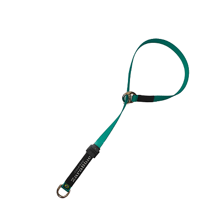 Colar de Adestramento para Cachorro Turquesa com Argola Anti-torção Resistente ZaraBlue