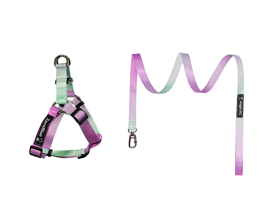 Kit Peitoral Americano e Guia de 1,30 metros para Cachorros Cor Allgrem - Brinde Plaquinha Personalizada