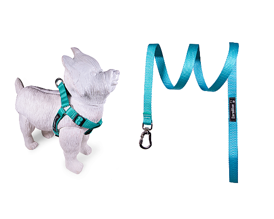 Kit Peitoral Americano e Guia de 1,30 metros para Cachorros Cor Turquesa - Brinde Plaquinha Personalizada