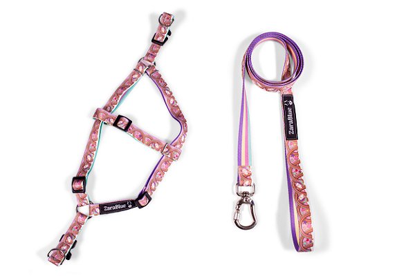 Kit Peitoral Americano e Guia de 1,30 metros para Cachorros Cor Unicórnio - Brinde Plaquinha Personalizada