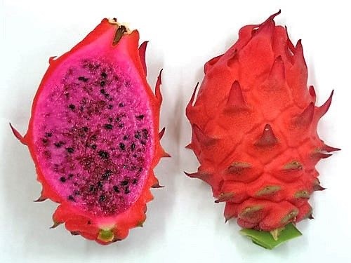 Pitaya Desert King de Casca cor Alaranjada e Polpa Vermelha Arroxeada