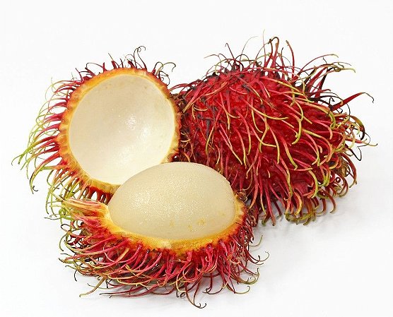 Rambutã ou Lichia Peluda