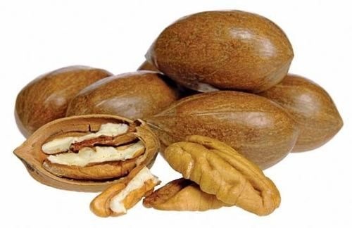 Noz Pecan