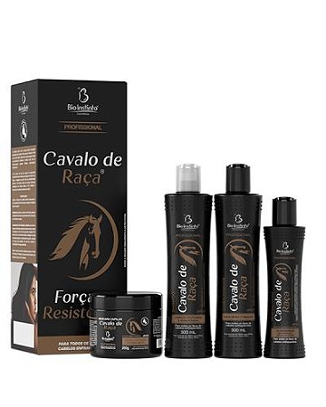 Kit Cavalo de Raça