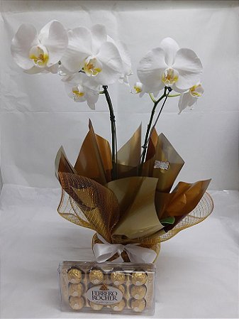 Orquídea Phalaenopsis Branca + Ferrero Rocher