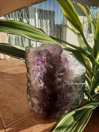 Drusa ametista com base serrada - Transmutação