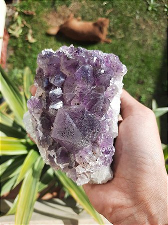 Drusa ametista cristalizada - Pedra da Transmutação