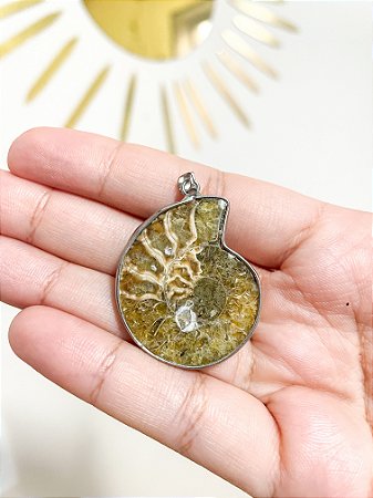 Pingente de Amonite Fóssil - A Chave para a Sabedoria Ancestral e a Prosperidade