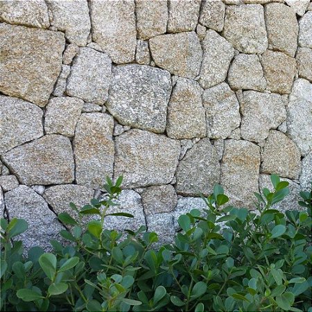 Pedra miracema: características, preço, como assentar e projetos!