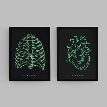 Kit Quadros Anatomia Verde