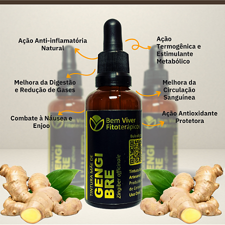 Tintura Mãe de Gengibre (Zingiber officinale) 50ml