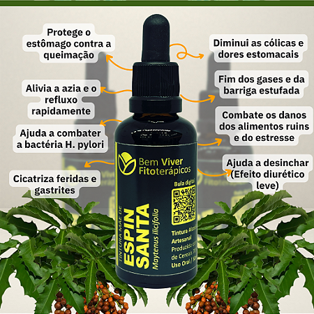 Extrato/Tintura Mãe de Espinheira-Santa (Maytenus ilicifolia) 50ml