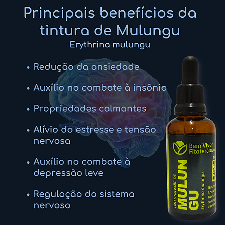 Tintura Mãe de Mulungu (Erythrina mulungu) 50ml