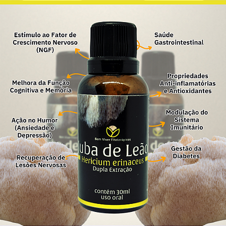 Extrato Premium de Juba de Leão (Hericium erinaceus) 30ml