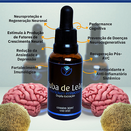 Extrato Premium de Juba de Leão (Hericium erinaceus) 30ml