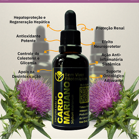 Tintura Mãe de Cardo Mariano (Silybum marianum) 50ml