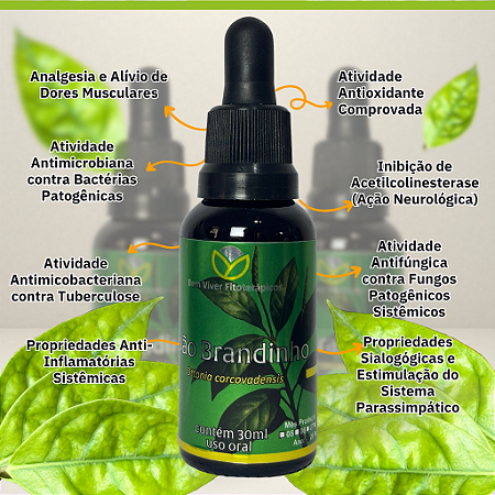 Extrato/Tintura de João Brandinho (Ottonia corcovadensis) 30ml