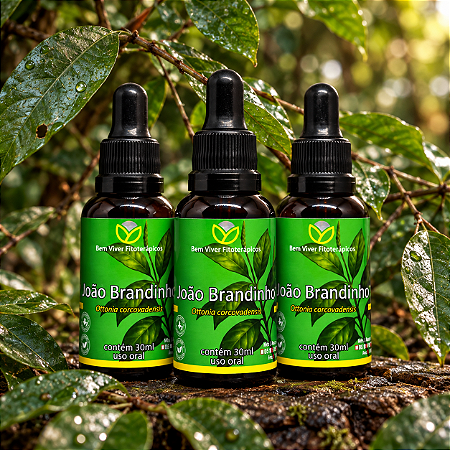 Extrato/Tintura de João Brandinho (Ottonia corcovadensis) 30ml